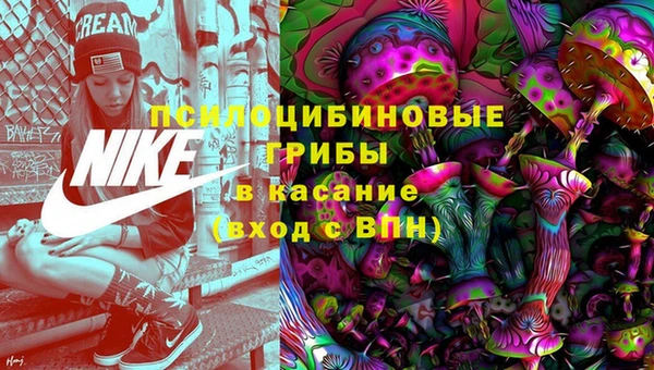 соль курить ск Алзамай