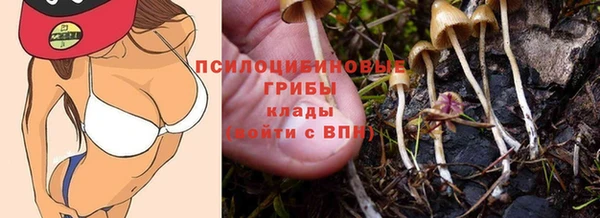 герыч Алексин