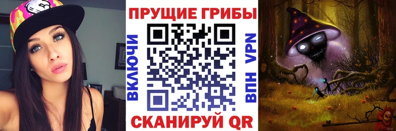 Псилоцибиновые грибы MAGIC MUSHROOMS  купить закладку  Бабушкин 